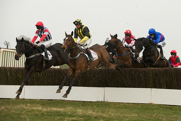 Race 5 -  34