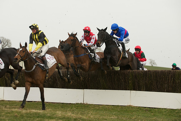 Race 5 -  35