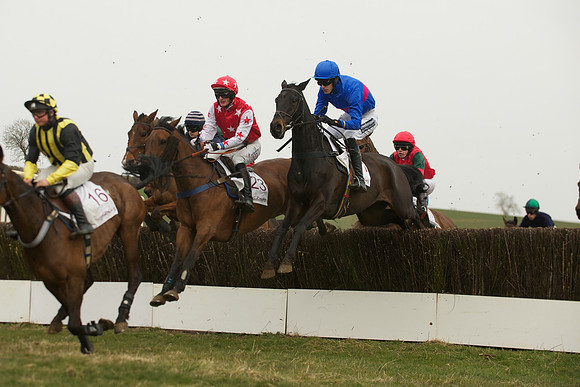 Race 5 -  36