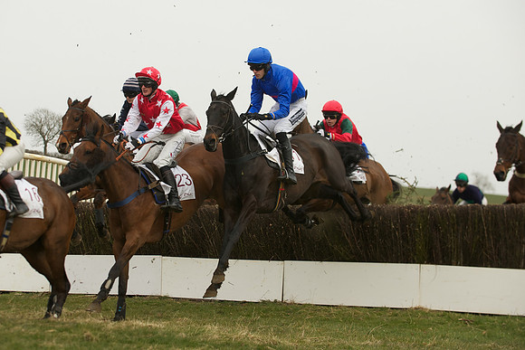 Race 5 -  37