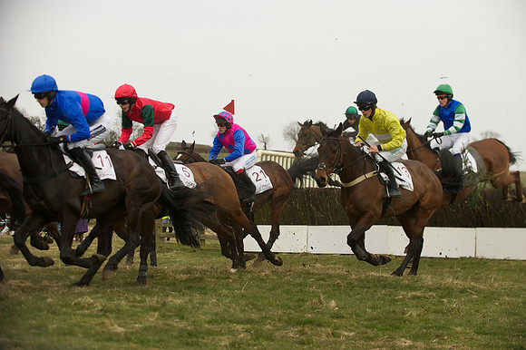 Race 5 -  39