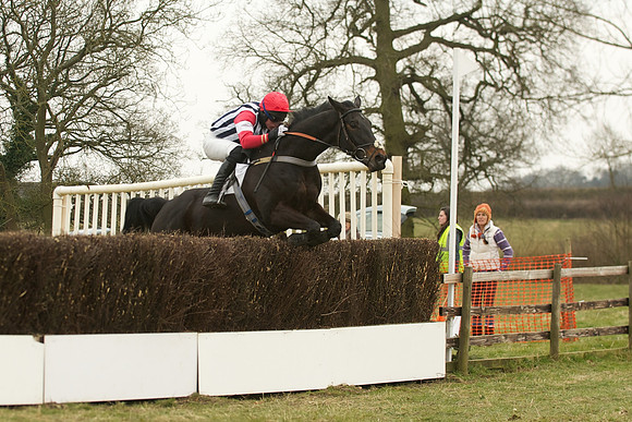 Race 5 -  40