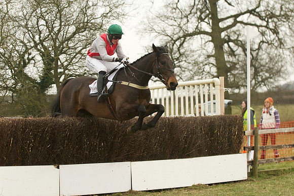 Race 5 -  46