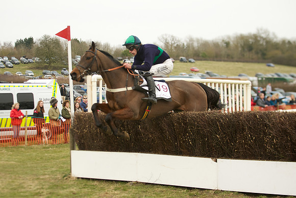 Race 5 -  50