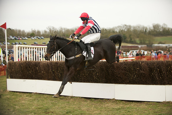 Race 5 -  53