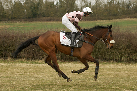Race 6 -  8