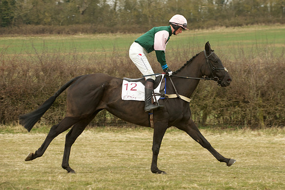 Race 6 -  11