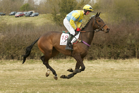 Race 6 -  13