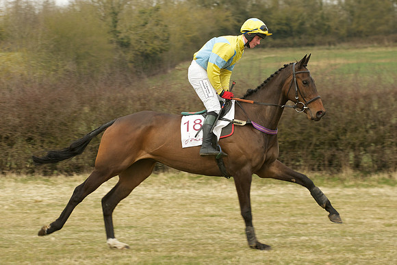 Race 6 -  14