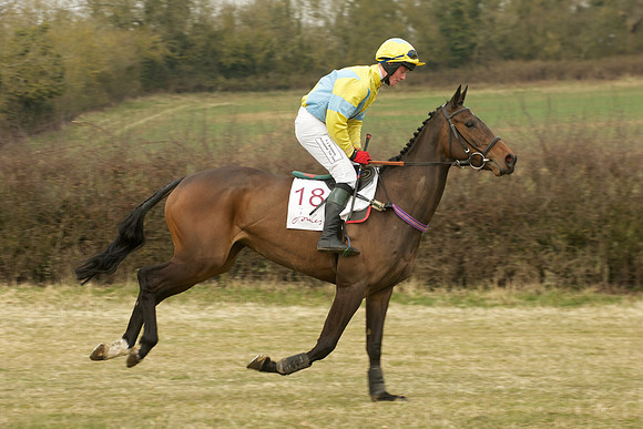 Race 6 -  15