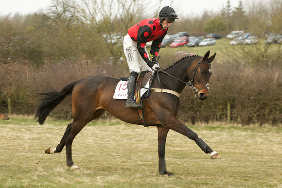 Race 6 -  16