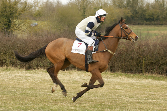 Race 6 -  24