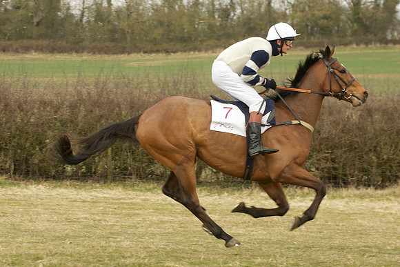 Race 6 -  26