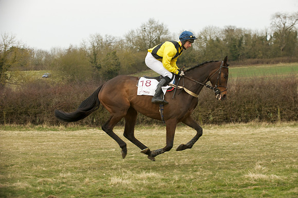 Race 7 -  5