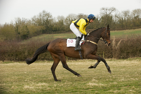 Race 7 -  6