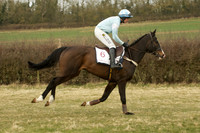 Race 7 -  12
