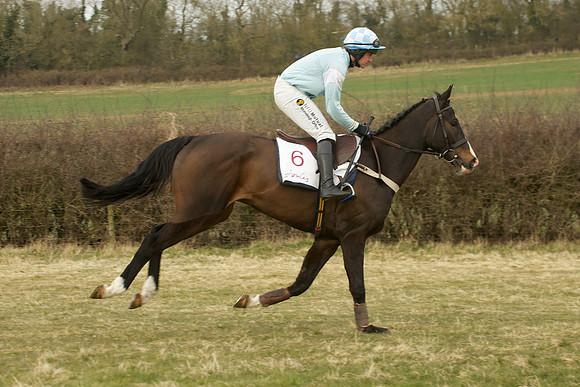 Race 7 -  12