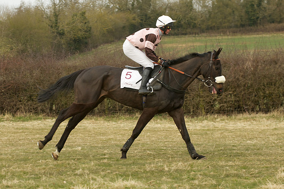 Race 7 -  14