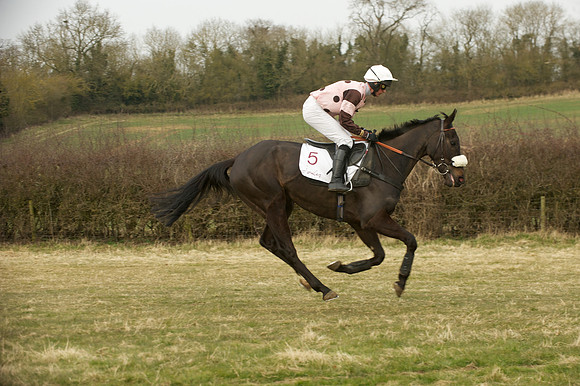 Race 7 -  15