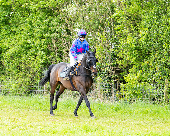 Race 2 - 2M4F Conditions (60 of 195)