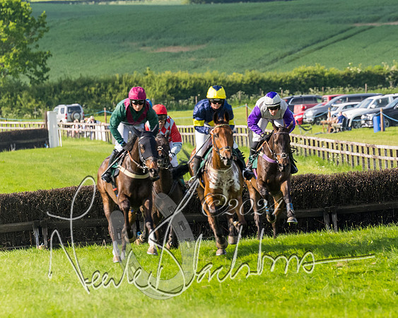 Race 6 - Owner trainer conditions (130 of 272)