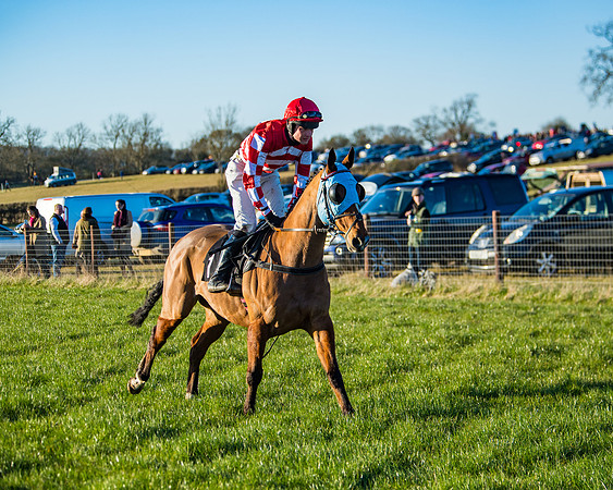 Race 7 - Maiden Division 2 (6 of 272)