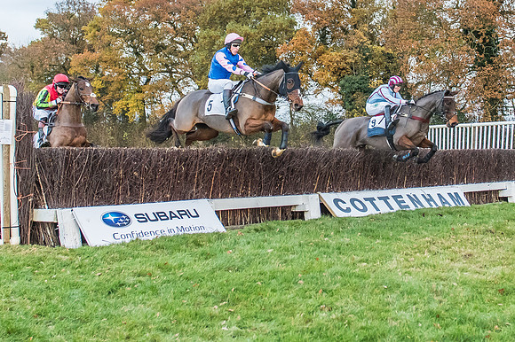 2 Mile 4 Furlong Maiden Race -17