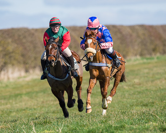 Oakley Ponies (48 of 96).jpg