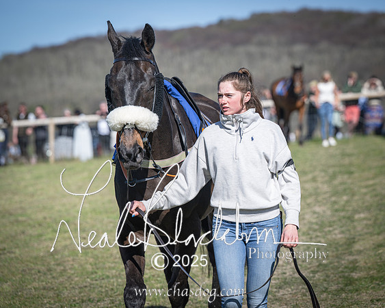 Race 6 - Veteran horse (7 of 109)