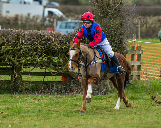 Pony Race 1 (50 of 101)