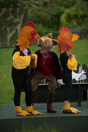 Fantastic Mr Fox 99