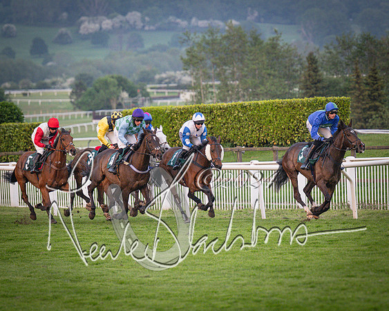 Race - 7 The Royal Gloucester Hussars Open Hunter's steeplechase 2m4f 127y (64 of 210)