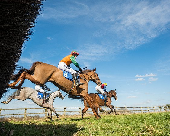 Race 1 - Open Maiden Division 2 (90 of 173)