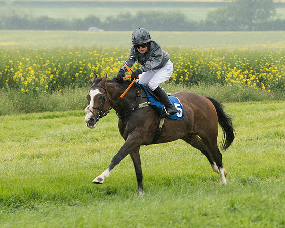 Pony Race 2 (49 of 113)
