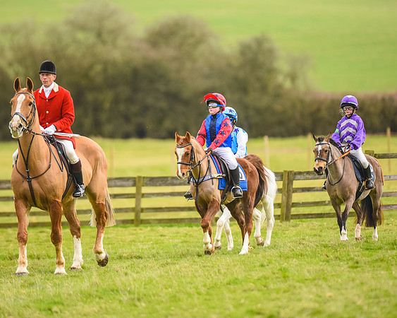 Pony Race 1 (4 of 101)