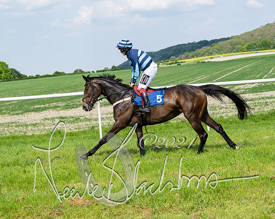 Race 3 - Ladies Open  (32 of 133)