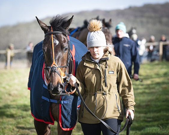 Race 1 - Four and Five year Old Maiden (23 of 137)