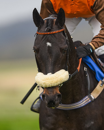 Race 4 - Novice Riders (14 of 112)