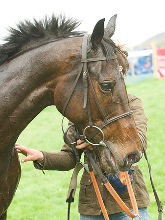 Kimblewick Point to Point at Kingston Blount Racecourse on Saturday 12th April 2014