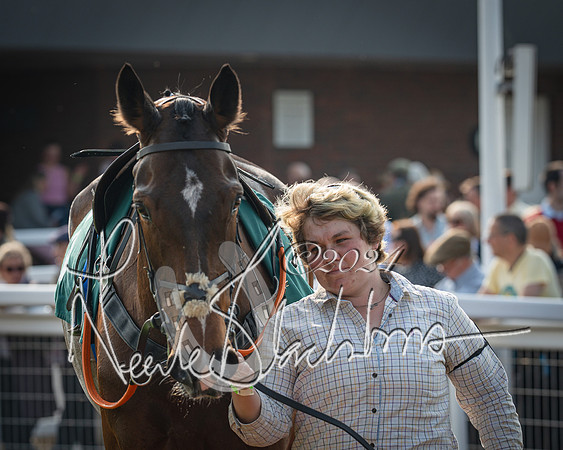 Race 2 - The Venatour sports travel intermediate point to point hunters’ steeplechase 5 year olds and over 3m2f (22 of 163)
