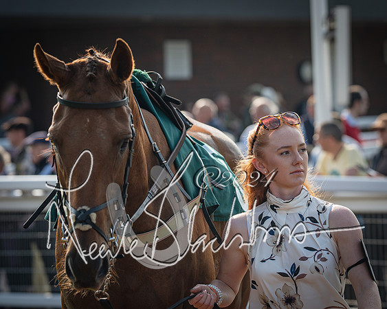 Race 2 - The Venatour sports travel intermediate point to point hunters’ steeplechase 5 year olds and over 3m2f (10 of 163)