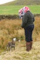 Poppy and pals 2014 -  4