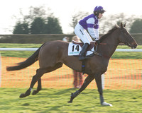 Race 7 - Novice Riders Race (11 of 145).jpg