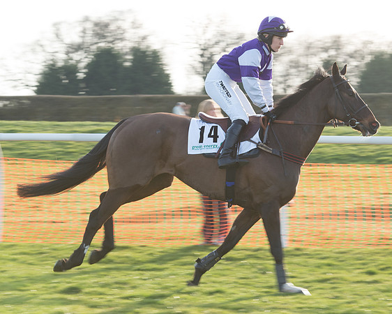 Race 7 - Novice Riders Race (11 of 145).jpg