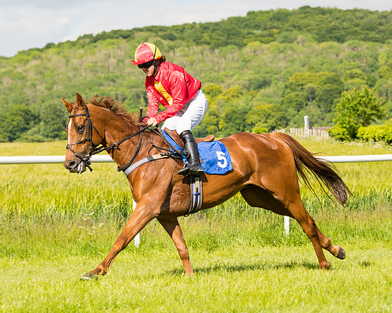 Race 5 - Restricted  (22 of 136)