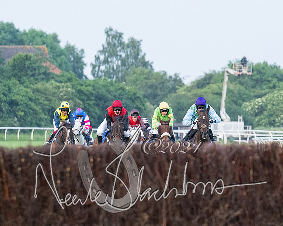 Race 5 - Peter Wright Handicap (61 of 117)