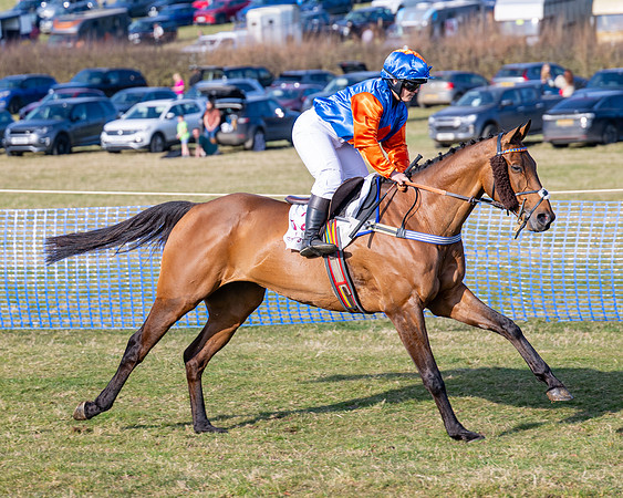 Race 5 - PPORA Five years and over (46 of 163)