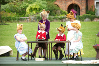 Fantastic Mr Fox 39