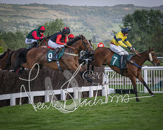 Race 2 - The Venatour sports travel intermediate point to point hunters’ steeplechase 5 year olds and over 3m2f (47 of 163)