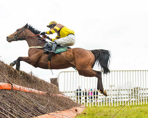 Race 6 - 6 year old and over Maiden 2m4f (34 of 62)